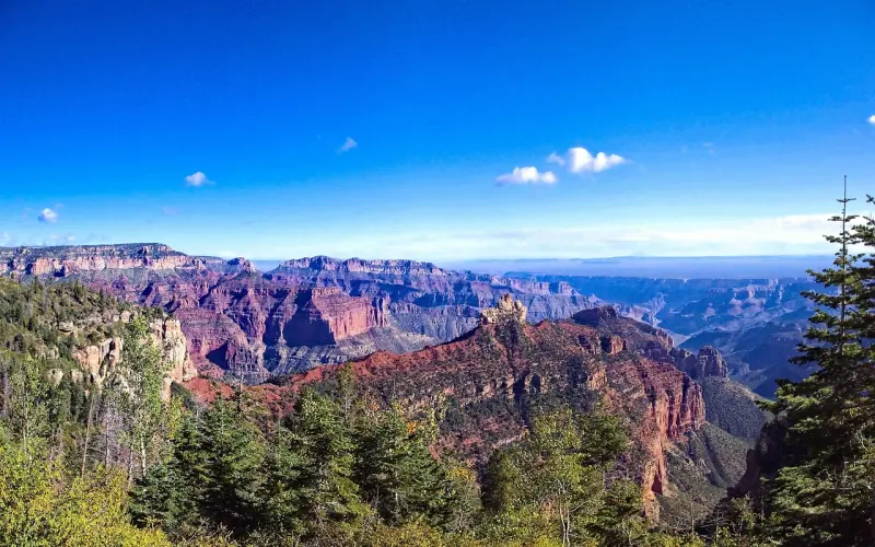 你总是睡得太晚，又爱得太满