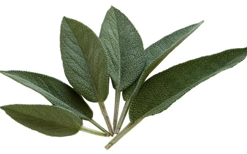 你总以为来日方长，却忘了世事无常！