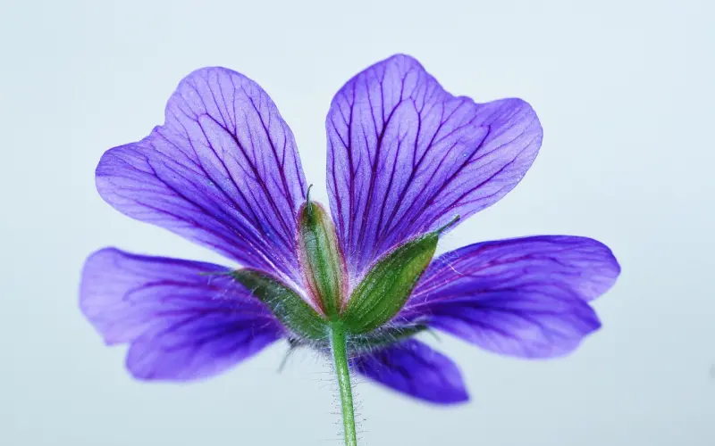 你脱单！我买单！1112万盛脱单节搞起来！