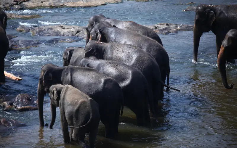 你连装酷都不会，还想追妹子？