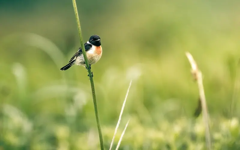 聊那么久却聊不到她心里去，你错在这儿了！