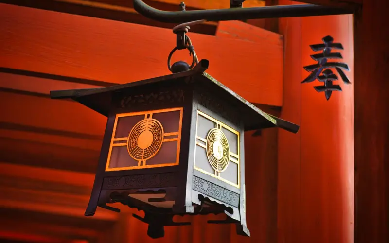 你珍惜我，我更珍惜你