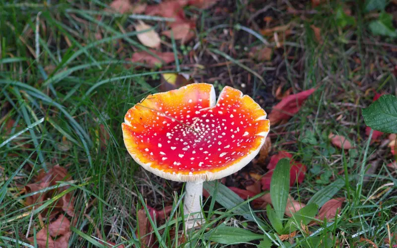 你觉得无法挽回，就是因为这三个关键点