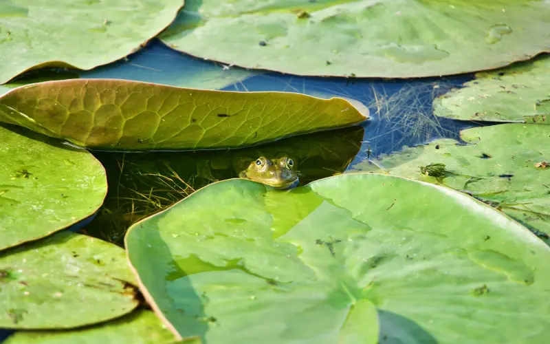 你忍了好久不联系对方，再次联系他对你改观了吗