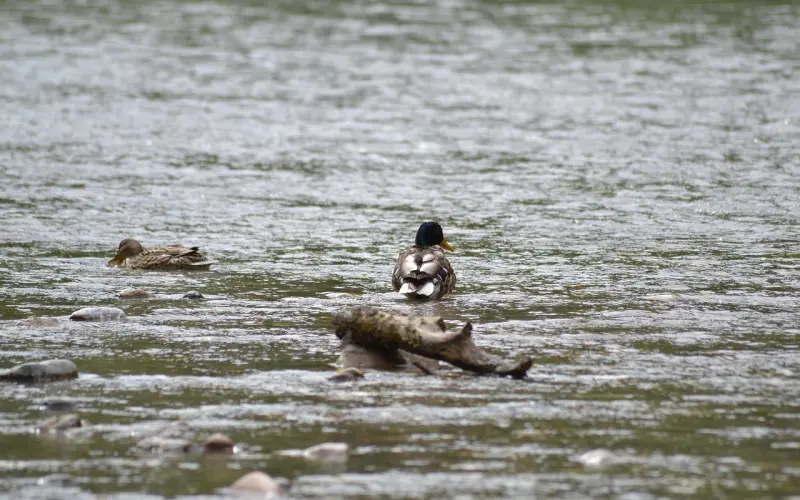 女生的种种暗示你要看得懂 也许正是喜欢你的意思