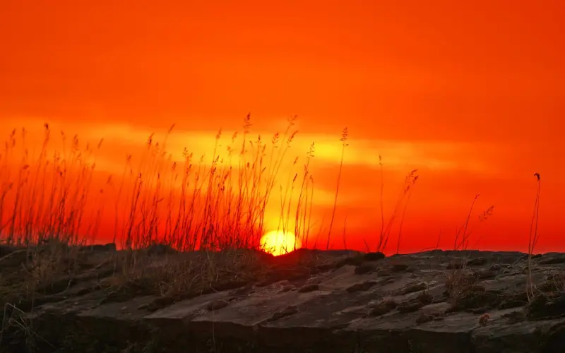 你光说爱，你做过吗？