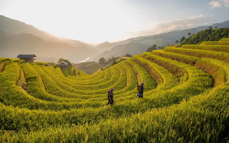明知道他只想约炮，为何就是离不开他?