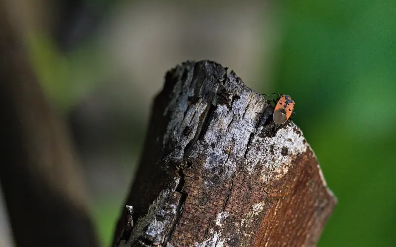 挽回男友绝对不能犯这些错!