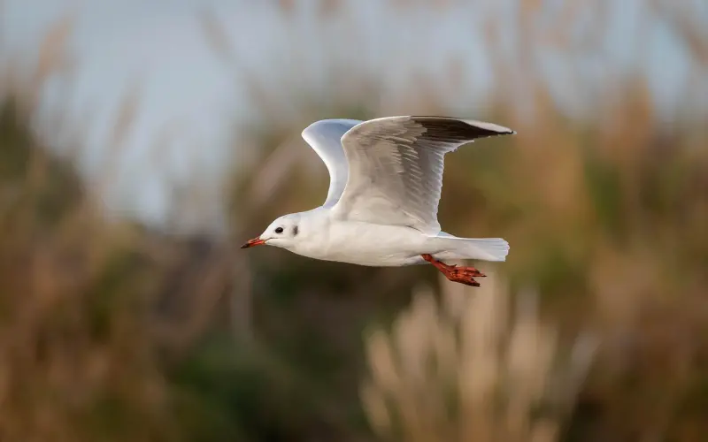 爱情中各阶段的“分寸”，你一定要懂