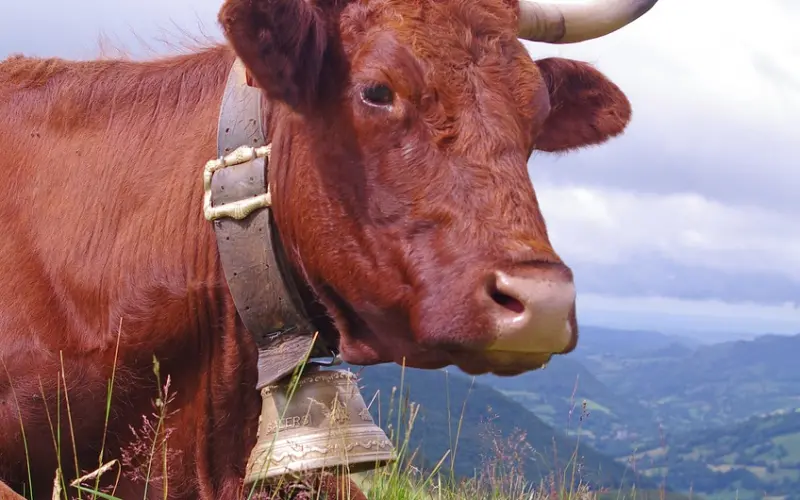 结婚前你需要想清楚这3个问题