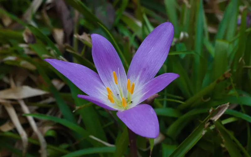 只撩不睡，你是什么垃圾？