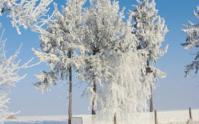你说女生冷若冰霜？还不是你没找对方法！