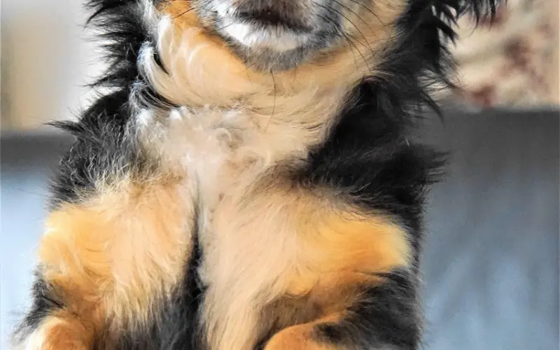 你应该这样对男友说！！！