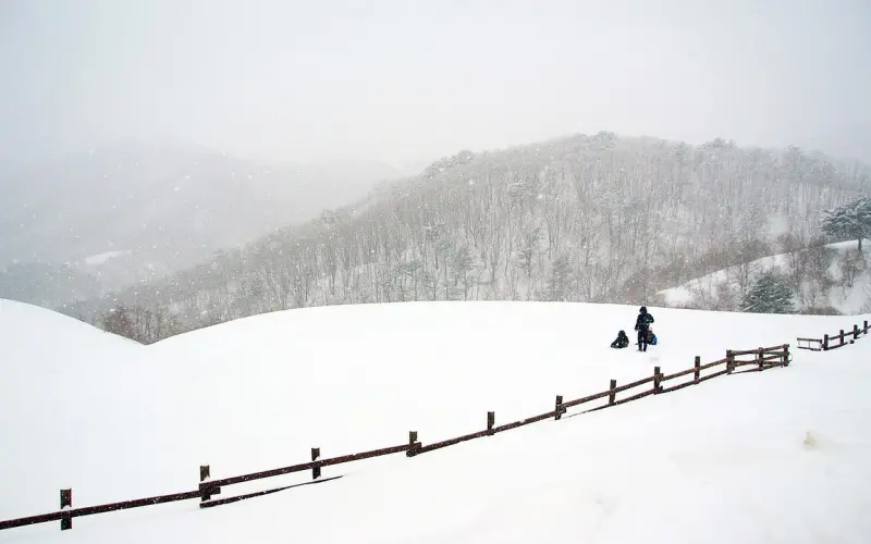 你拿她当女友，她却打着爱情的旗号把你当饭票