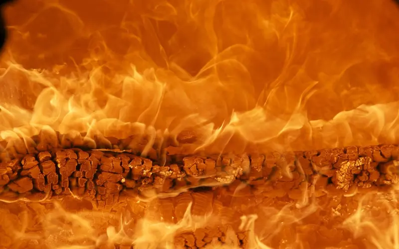 你被看见了——来自冷爱的亲笔信