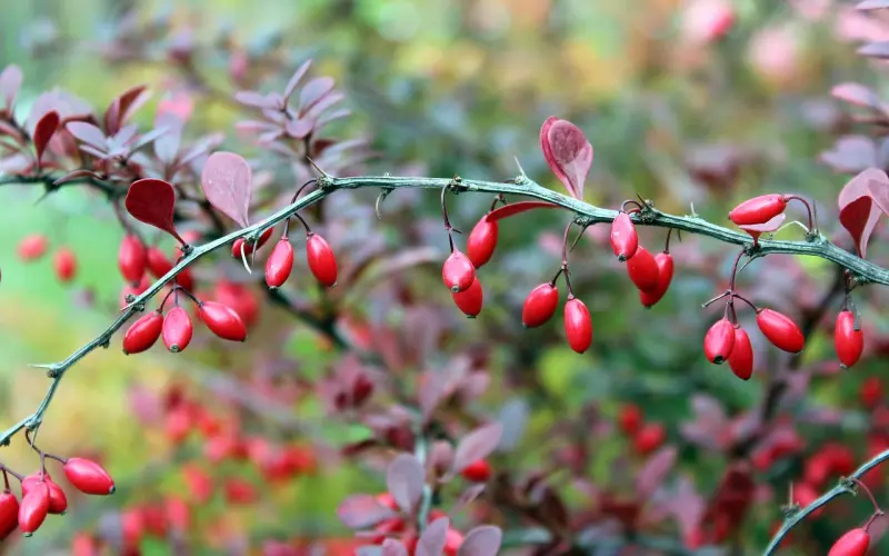 一定惊呆你的——男神蜕变成果