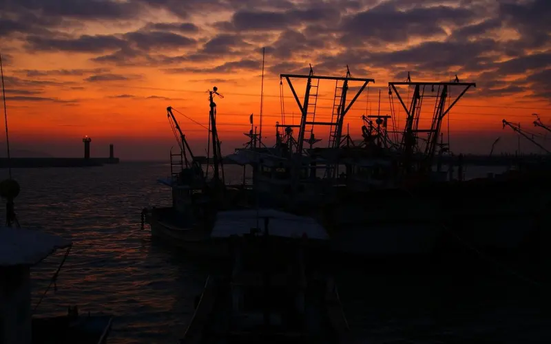 当你没钱的时候，你会明白很多!