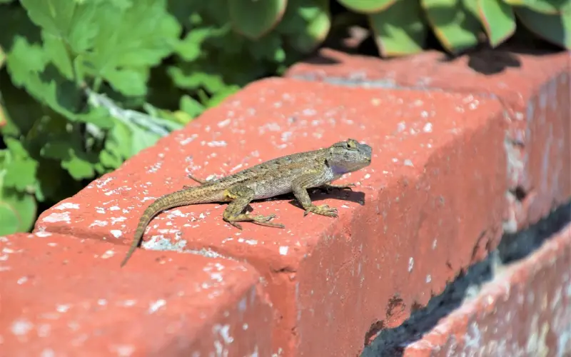 你最好不要这样找对象