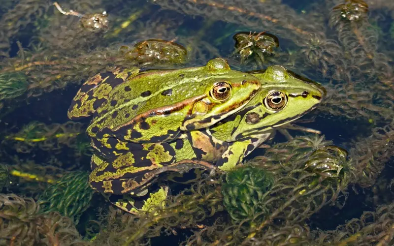 两个人合不合适，看看就知道了...
