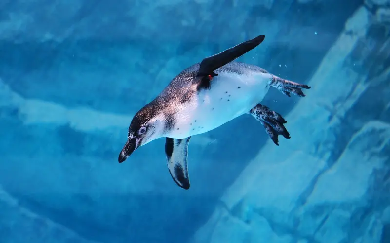 不会管控风险的年轻，比丧尸更可怕