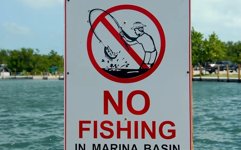 男友突然不宠你了，这一点需要注意