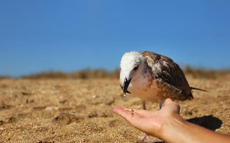 你的妥协挽回不了男人