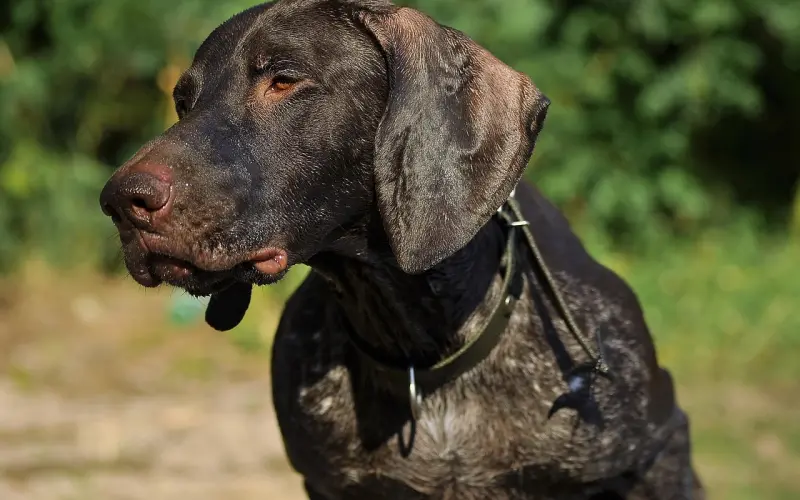 前任新欢条件没你好，为什么他不选择你？