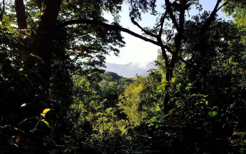 你的原生家庭在影响着你的幸福与财富——这不是责任外归因！