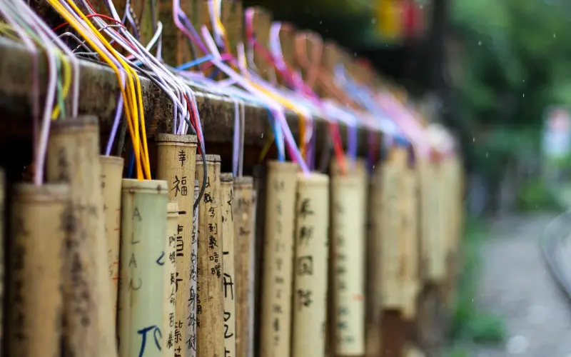 你都做到这份上了，为什么他还是不回来你身边