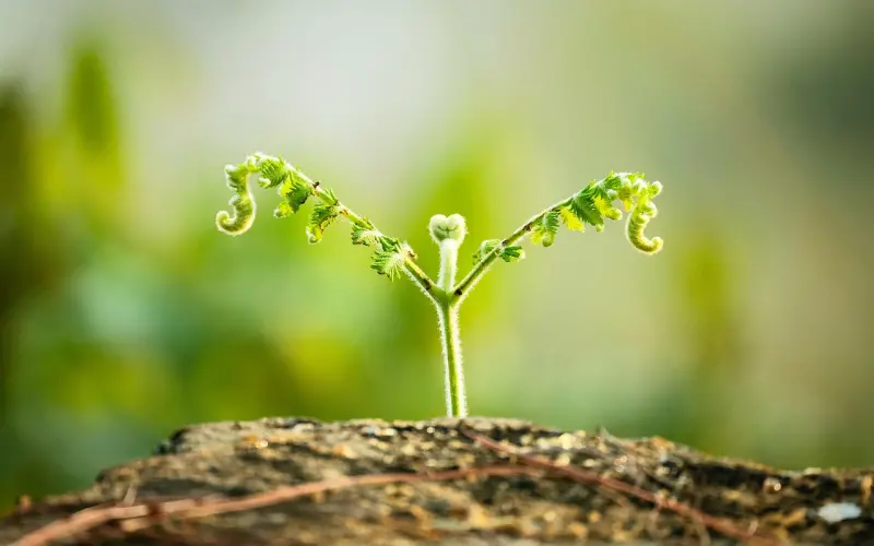 宇芽被家暴：这背后的事，女人必须知道！