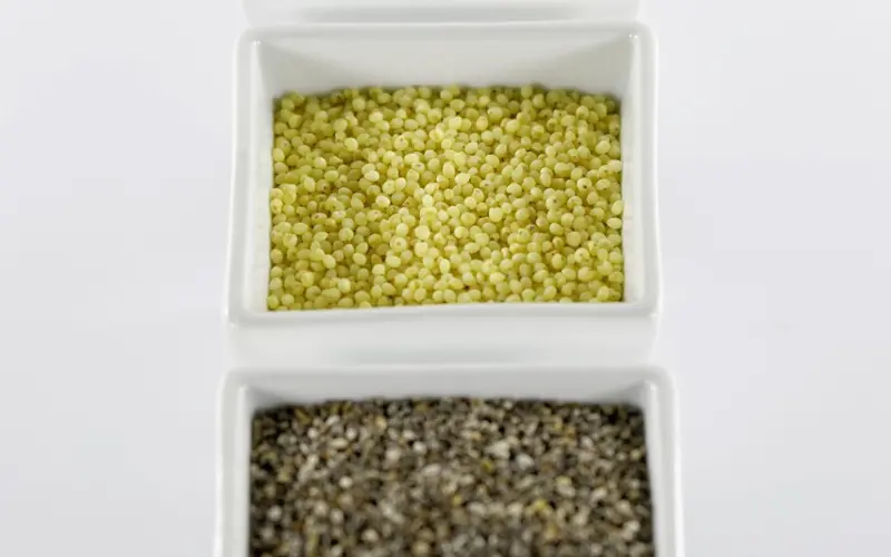 张嘉倪买超：最好的爱情，要满足这3个条件