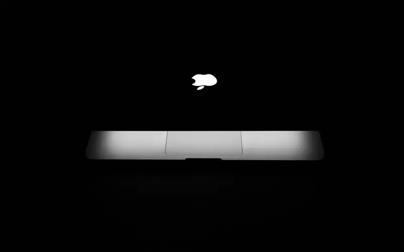 赵丽颖冯绍峰结婚|什么样的男人值得嫁？