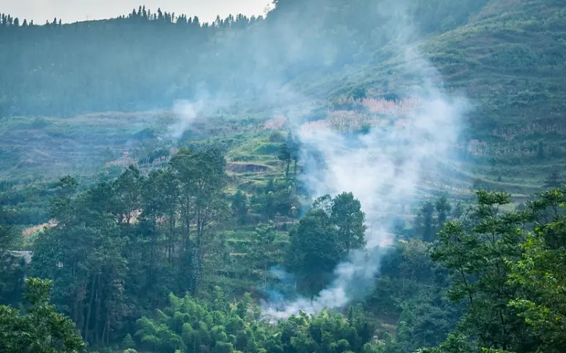 周公解梦：梦见这几种场景，预示着生意兴隆，万事顺心，充满激情