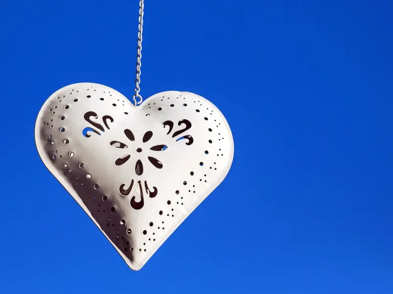 ❤ 001—019 | 单身粉丝 | 推荐