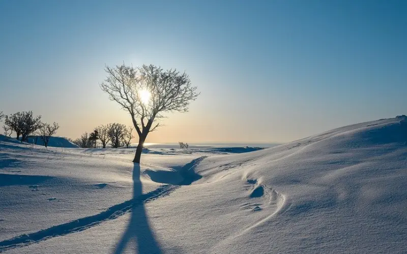 （0406~0412）一周星座运势