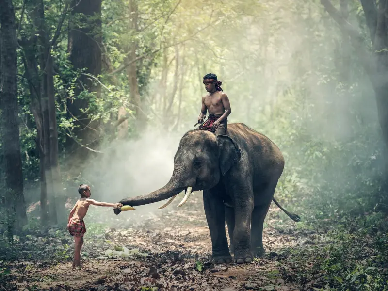 10分钟让你告别油腻猥琐，成为女生倒追的小鲜肉
