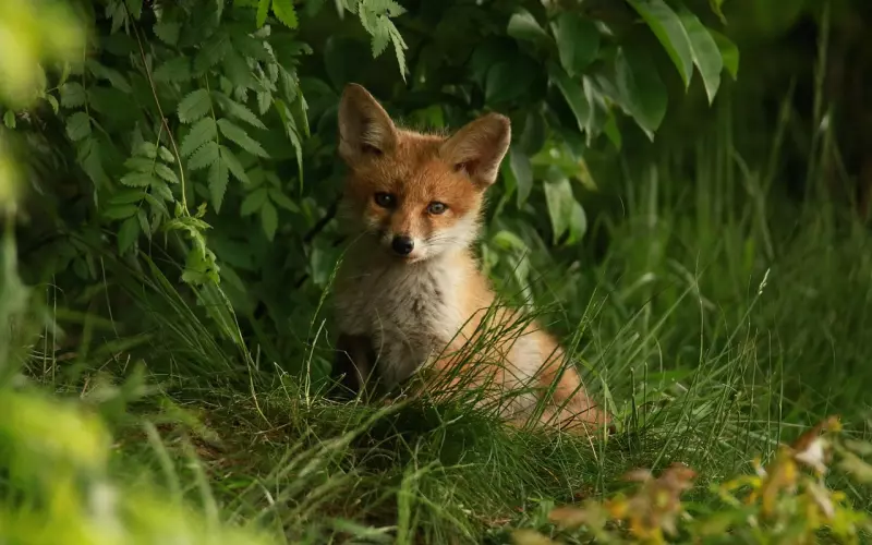 对付男人冷落你的10个方法