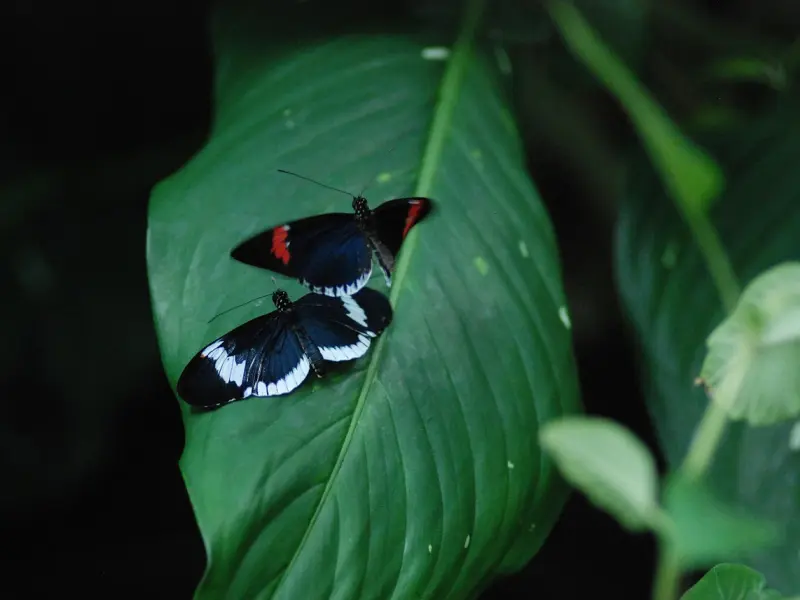 让恋爱长久的10种方法