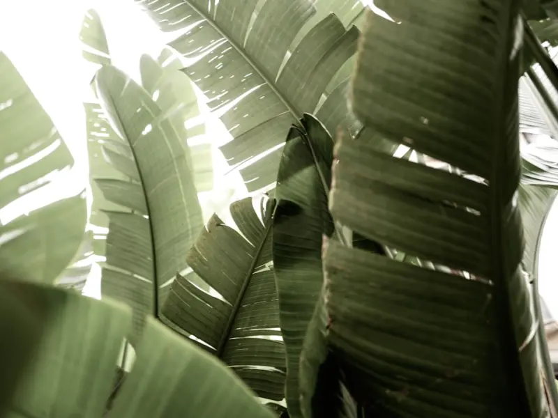 （10/12-10/18）一周星座运势