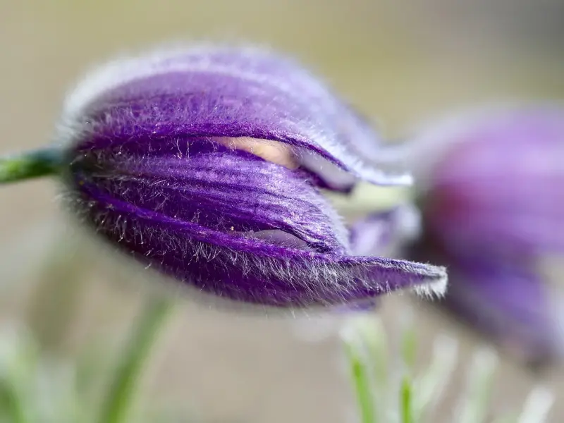 11种最常见的分手模式 ！你是哪一种？