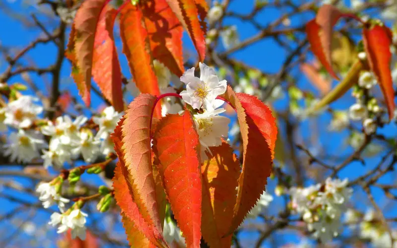 11个人生歪理，不服不行！