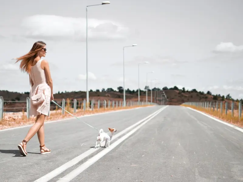 【11/24~11/30】一周星座运势