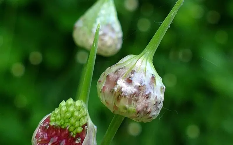 20句治愈系情感句子，心情不好的时候可以看看