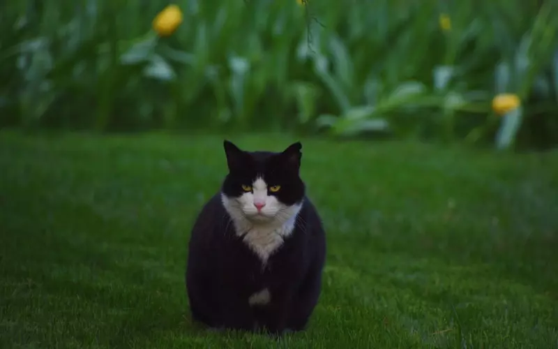 2019霸气超拽的个性签名
