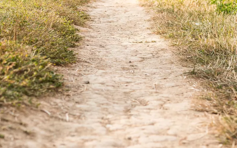 2019很火很走心的说说句子，最适合自己的心情语录