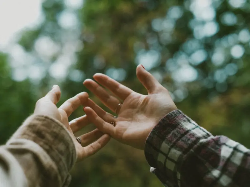 2019，新18 愁，火了！