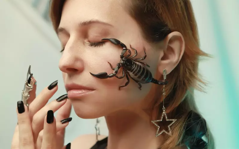 属猴的人2019年命理运势及适合佩戴的佛牌