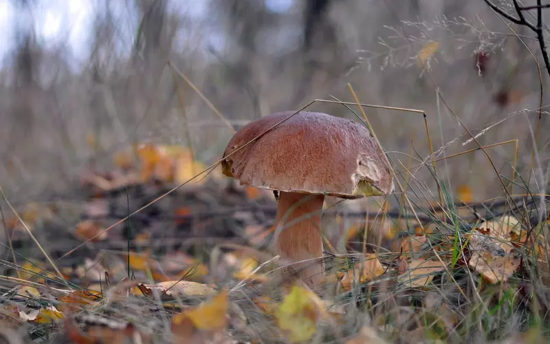 2019俏皮话，谁想出来的？太真实了！