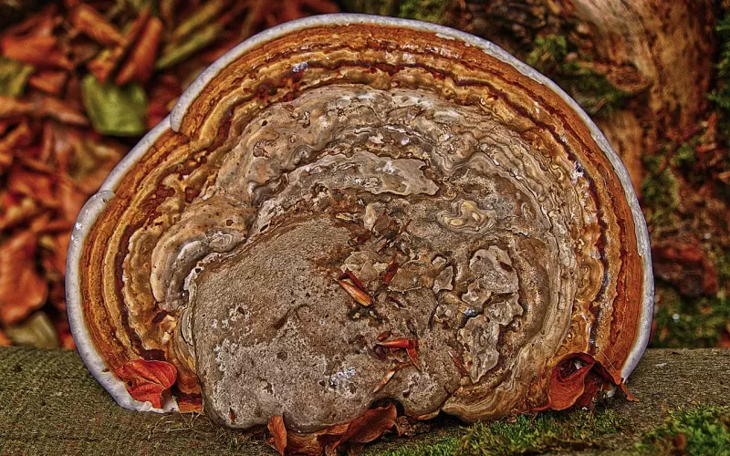 3种行为会在女生面前彻底暴露你的弱点