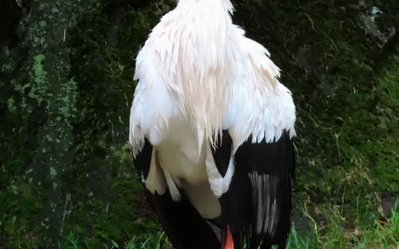 挽回男友的3宗罪，你犯了哪一条？